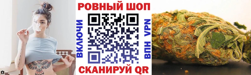 МЕФ Новосибирск