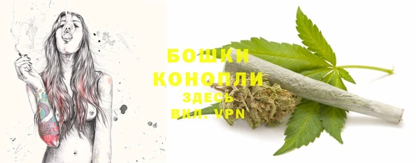 ALPHA-PVP Богородицк