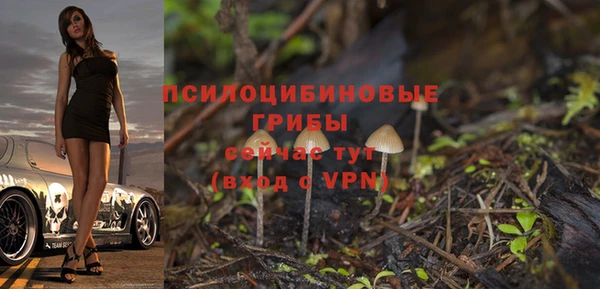 ALPHA-PVP Богородицк