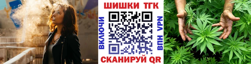 дарнет шоп  Новосибирск  Марихуана сатива 